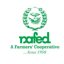 Partner 11